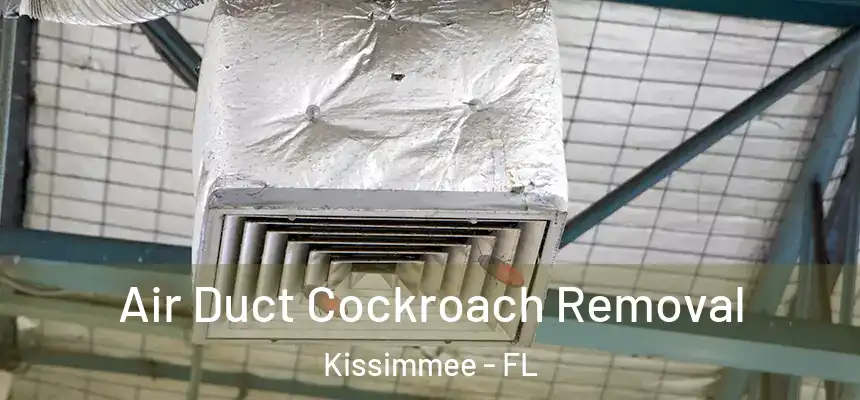 Air Duct Cockroach Removal Kissimmee - FL