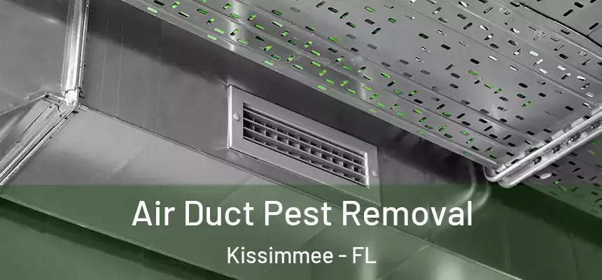 Air Duct Pest Removal Kissimmee - FL