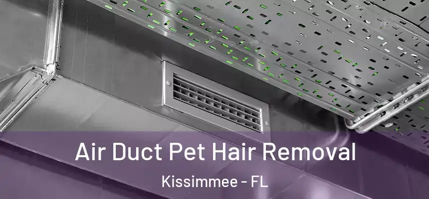 Air Duct Pet Hair Removal Kissimmee - FL