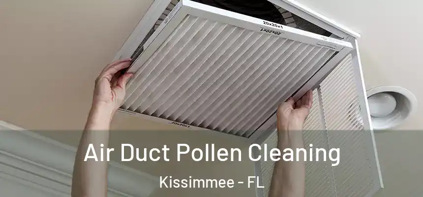 Air Duct Pollen Cleaning Kissimmee - FL