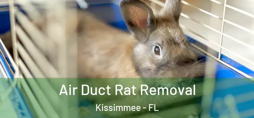 Air Duct Rat Removal Kissimmee - FL