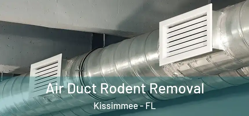 Air Duct Rodent Removal Kissimmee - FL