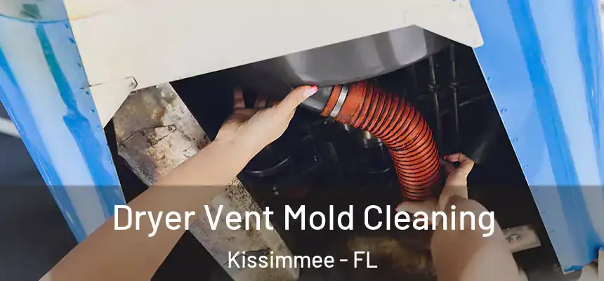 Dryer Vent Mold Cleaning Kissimmee - FL