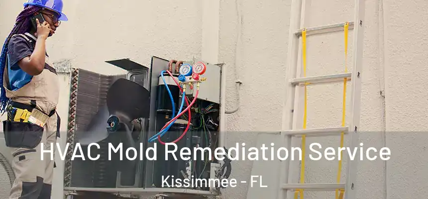 HVAC Mold Remediation Service Kissimmee - FL