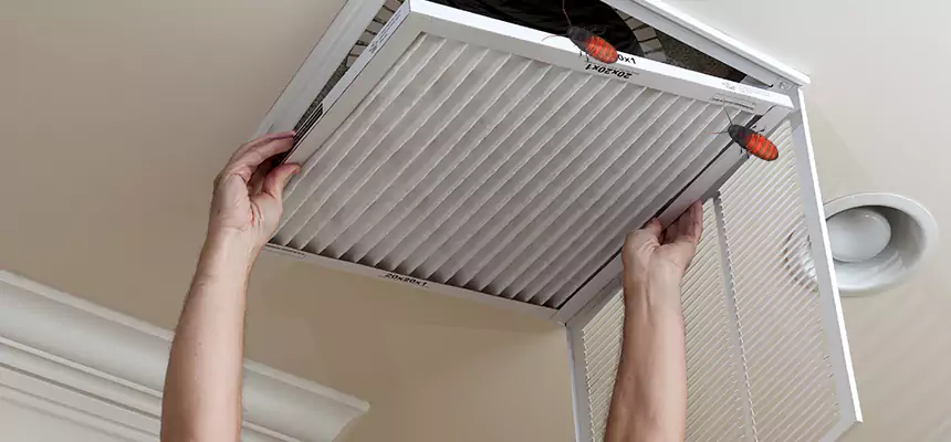 Preventive Cockroach-Proofing for Ducts in Kissimmee