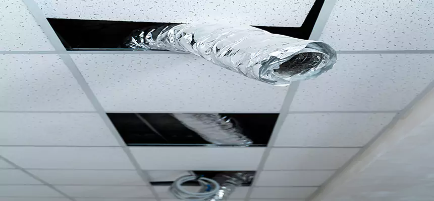 Our Air Duct Pet Hair Removal Services in Kissimmee, FL