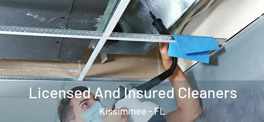 Licensed And Insured Cleaners Kissimmee - FL