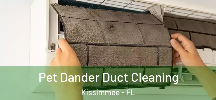 Pet Dander Duct Cleaning Kissimmee - FL