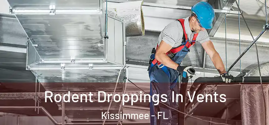 Rodent Droppings In Vents Kissimmee - FL