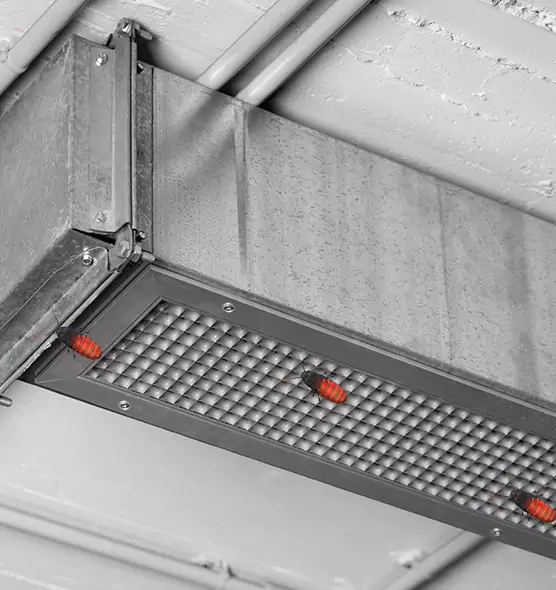 About Air Duct Cockroach Removal in Kissimmee, FL