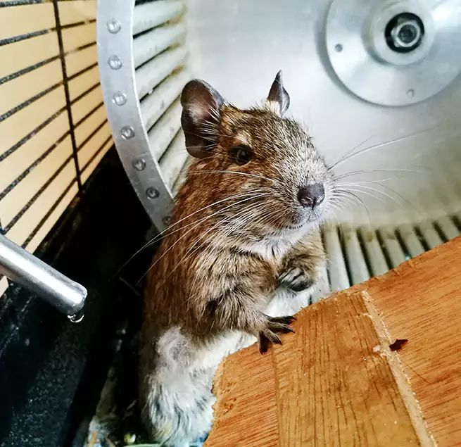 Why Homeowners & Businesses Trust Us Kissimmee, FL?