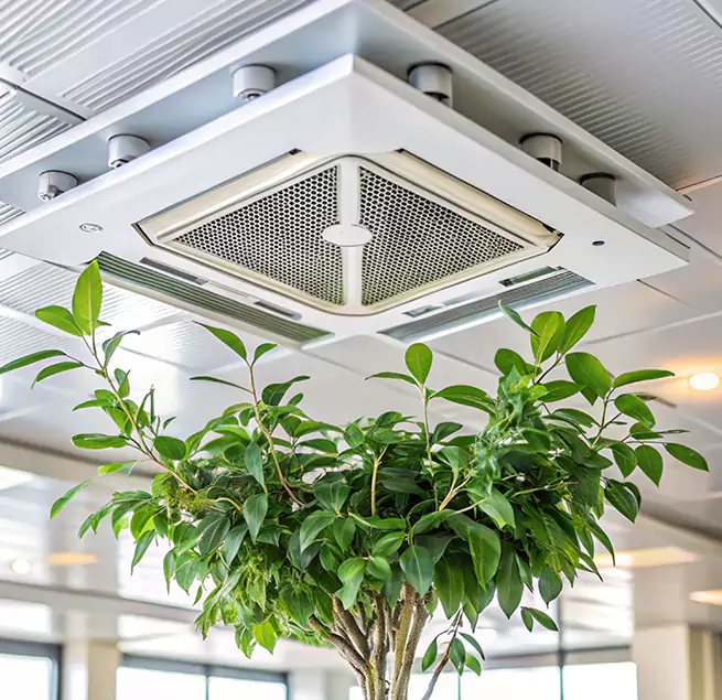 Why Homeowners & Businesses Trust Us in Kissimmee, FL