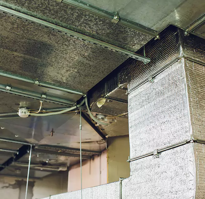 Why Homeowners & Businesses Trust Us in Kissimmee, FL?